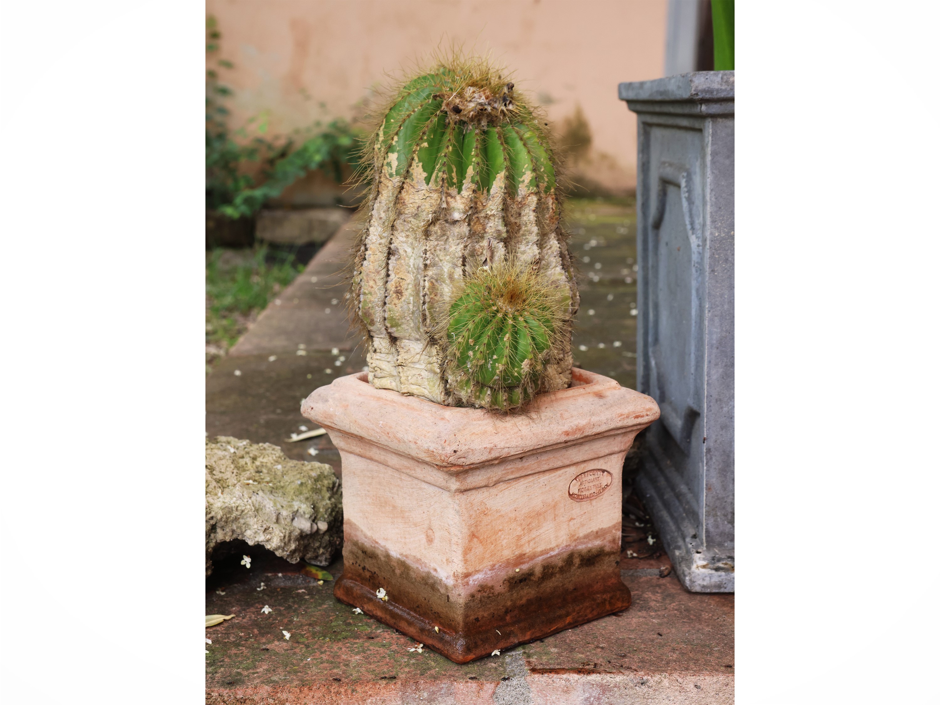 Lotto di vasi da giardino, terracotta, resina e metallo