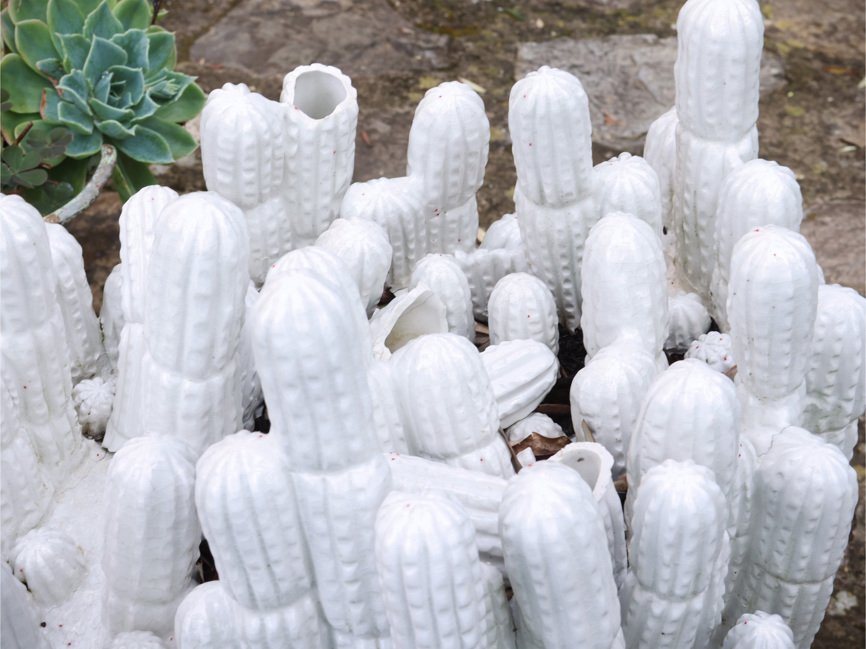 Arredi da giardino, cactus in ceramica bianca e pianta grassa in vaso in metallo laccato verde