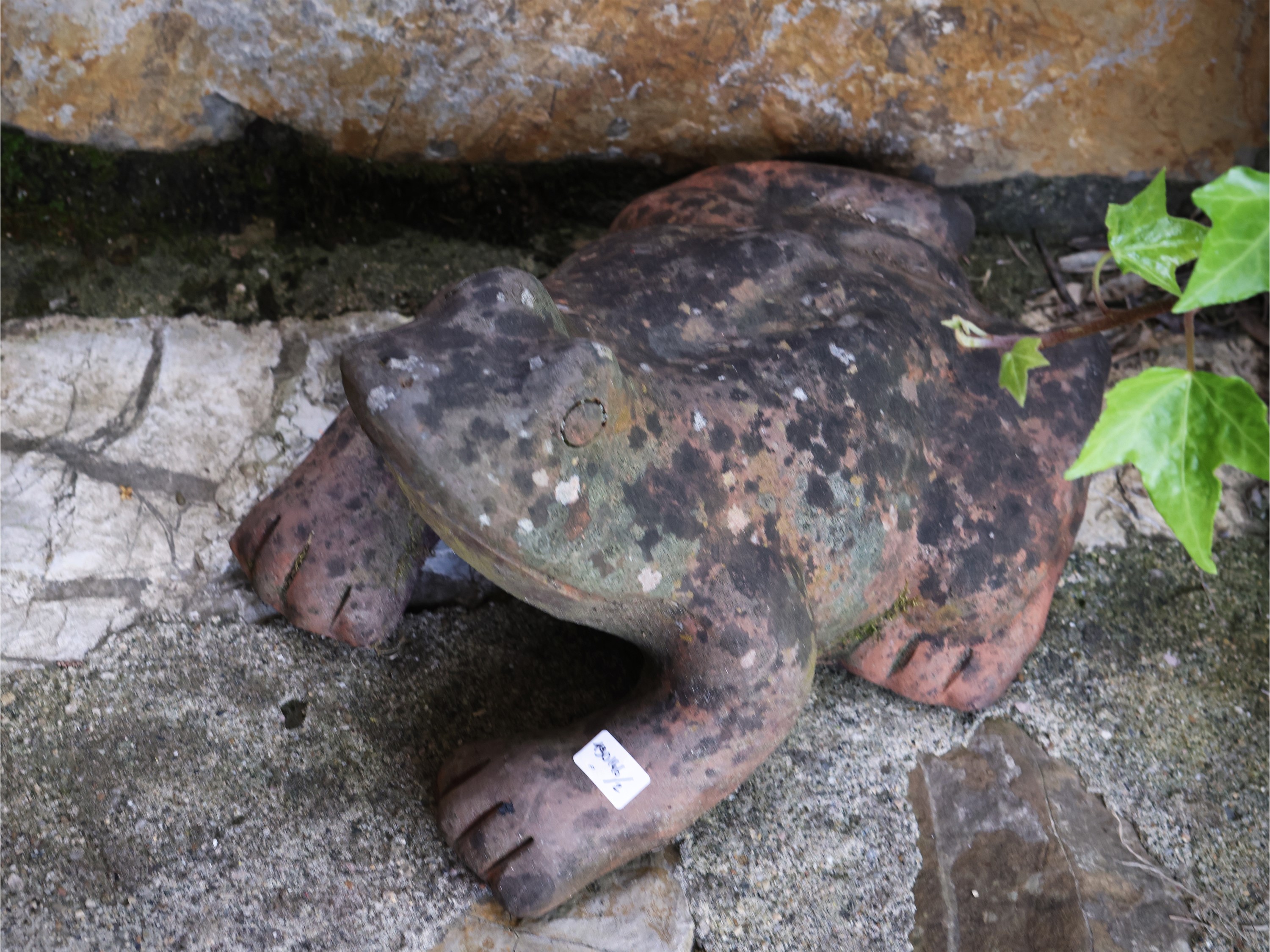 Arredi da giardino, casetta pensile in legno dipinto per uccellini e rana in terracotta