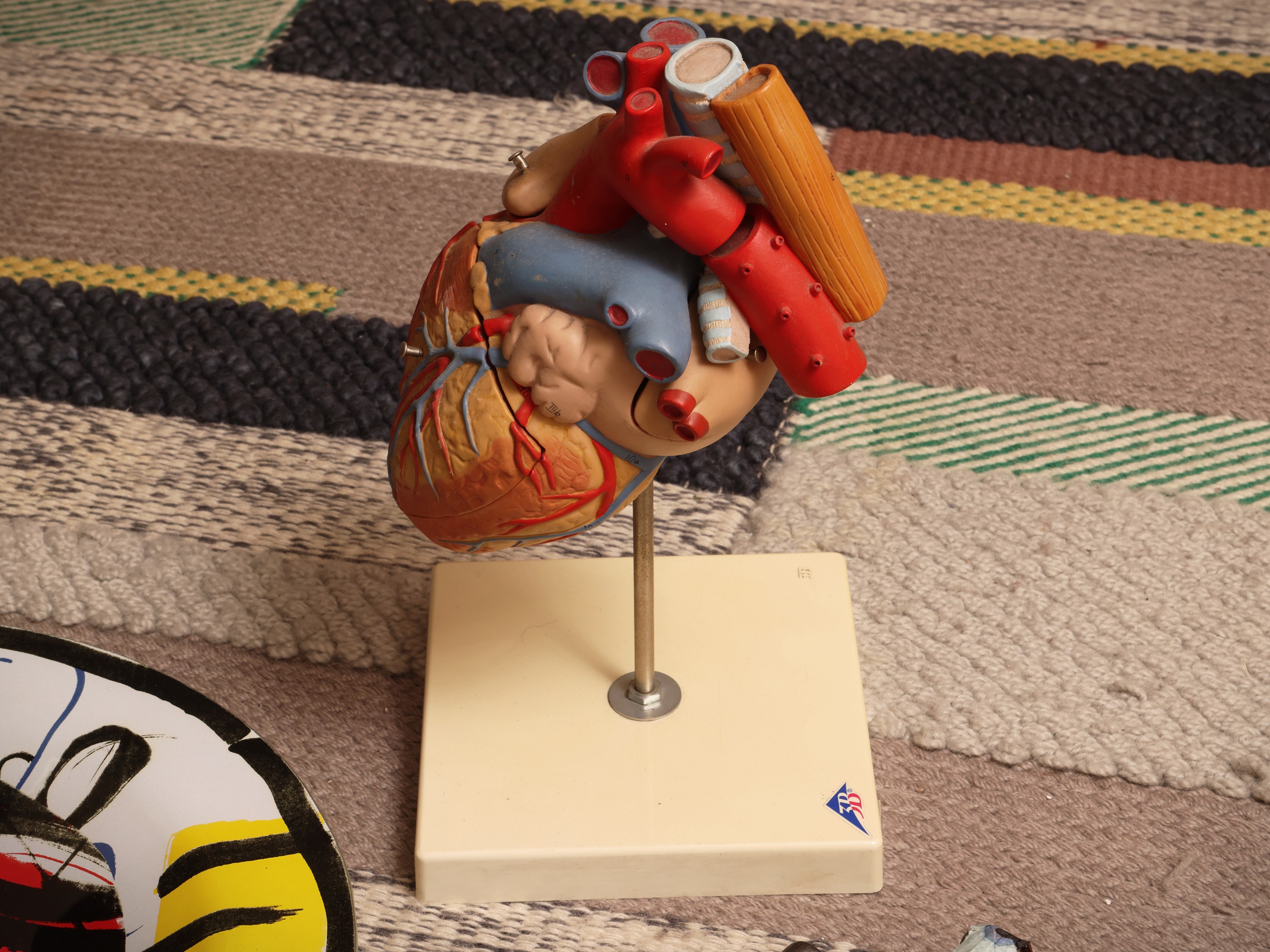 Curiosità, piatto in vetro Ritzenhoff con modello anatomico di cuore 3B, flaconi in ceramica a fo...