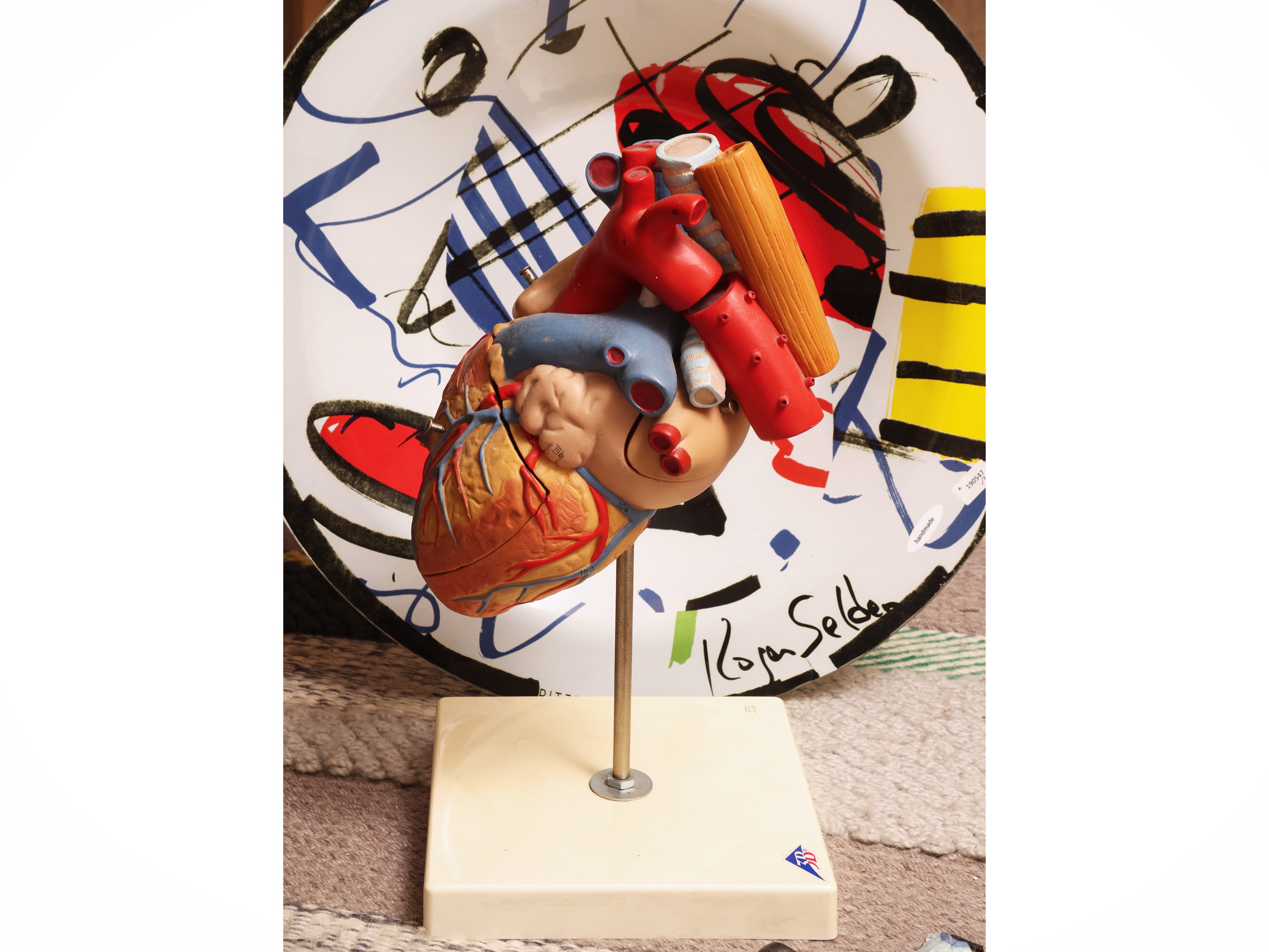 Curiosità, piatto in vetro Ritzenhoff con modello anatomico di cuore 3B, flaconi in ceramica a fo...