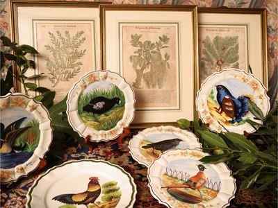 Pietro Andrea Matthioli, Discorsi (serie di 5 xilografie botaniche) e piatti decorativi in cerami...