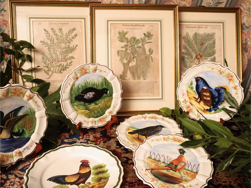 Pietro Andrea Matthioli, Discorsi (serie di 5 xilografie botaniche) e piatti decorativi in cerami...