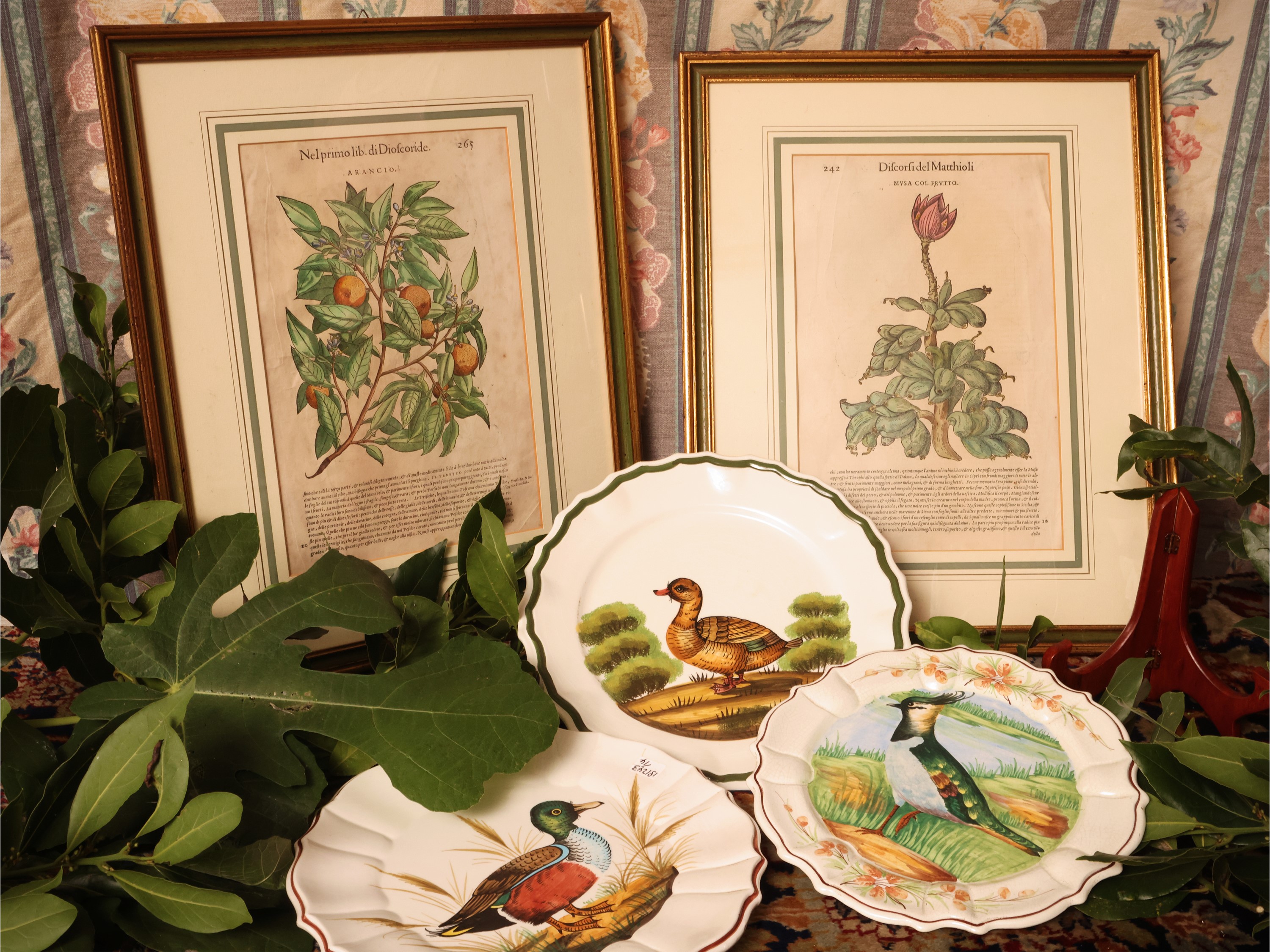 Pietro Andrea Matthioli, Discorsi (serie di 5 xilografie botaniche) e piatti decorativi in cerami...