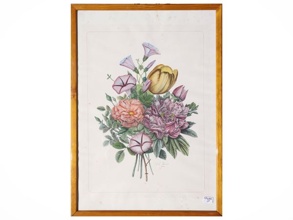 Tavole botaniche