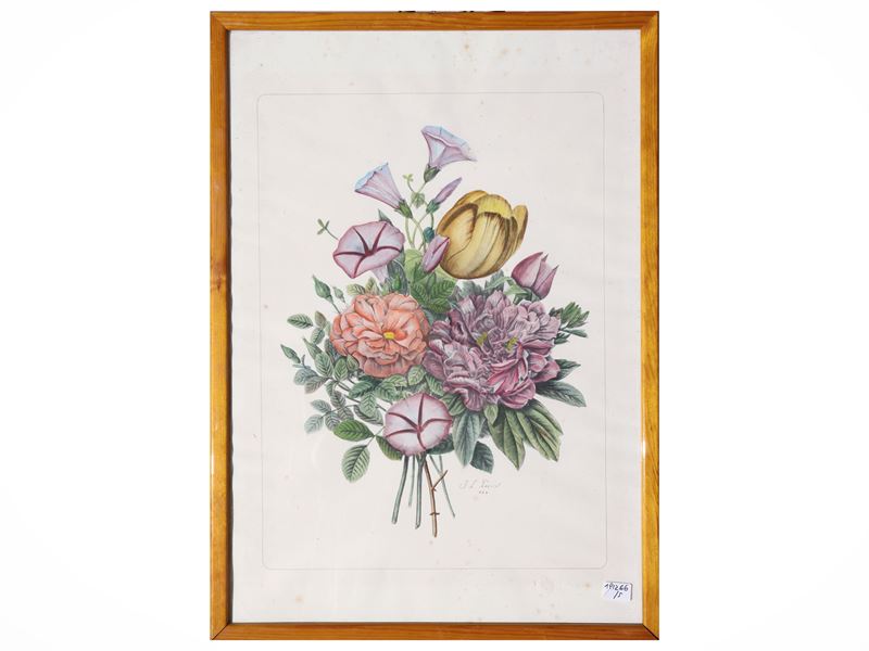 Raccolta di tavole botaniche, litografie e riproduzioni (XIX/XX secolo)