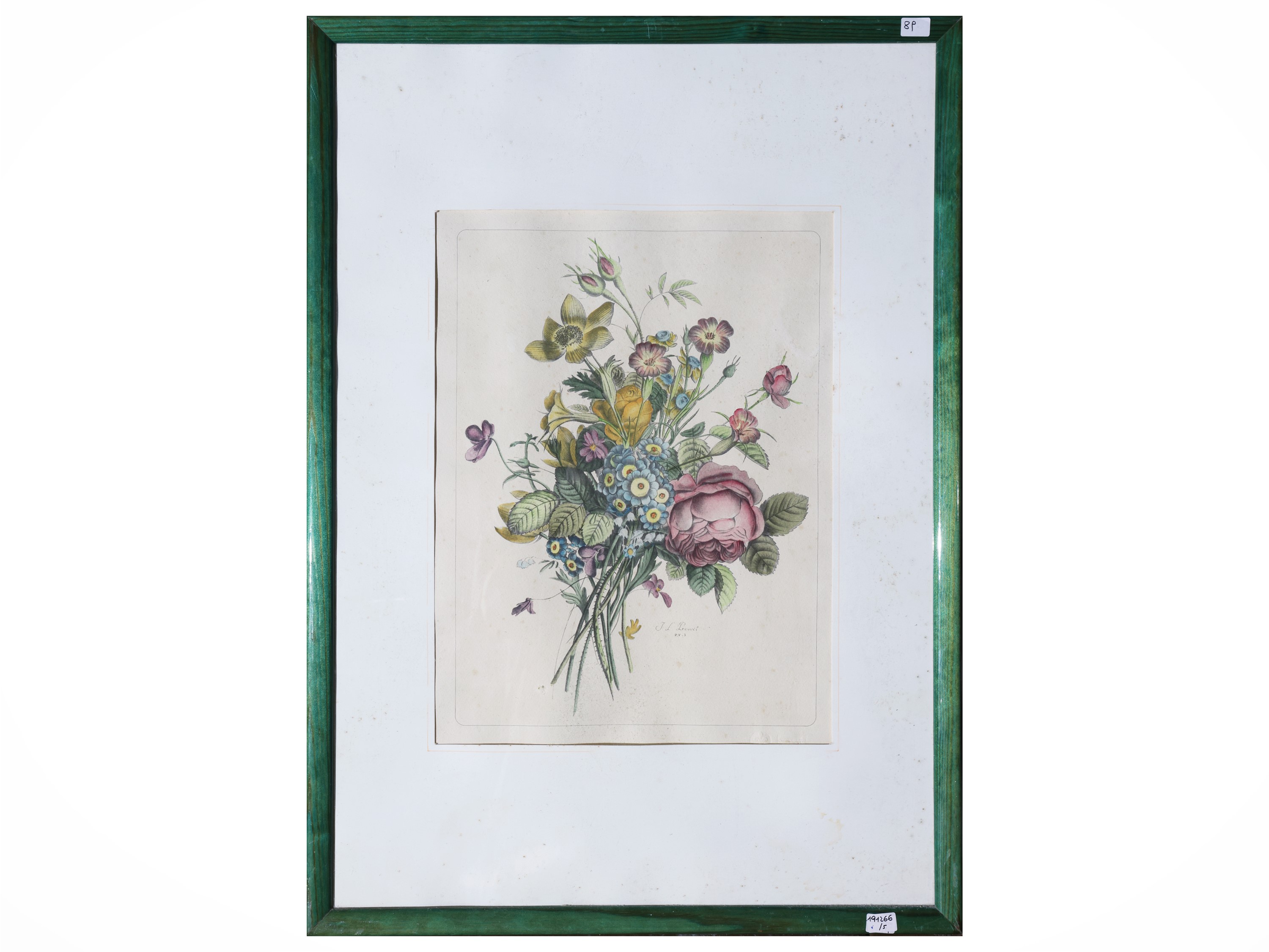 Raccolta di tavole botaniche, litografie e riproduzioni (XIX/XX secolo)