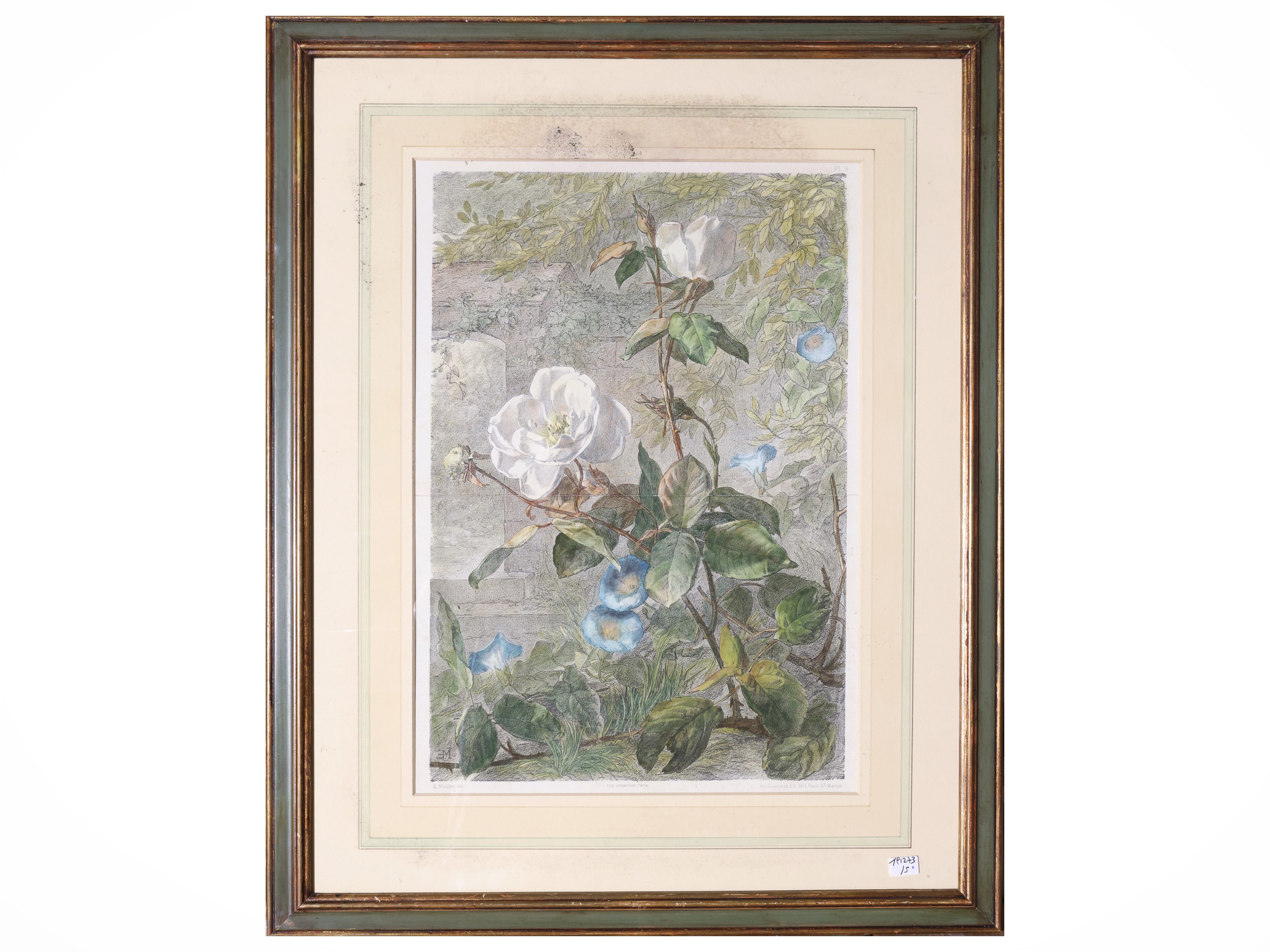 Eduard Müller, Fiori e natura morta con frutta (quattro litografie con acquerellatura, seconda me...