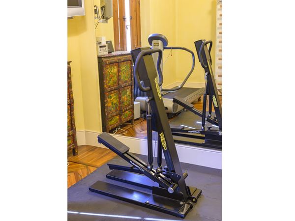 Rampica mechanical stepper, Technogym  - Auction A Villa in Florence - Maison Bibelot - Casa d'Aste Firenze - Milano