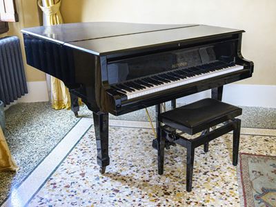 Blüthner, Pianoforte a mezza coda