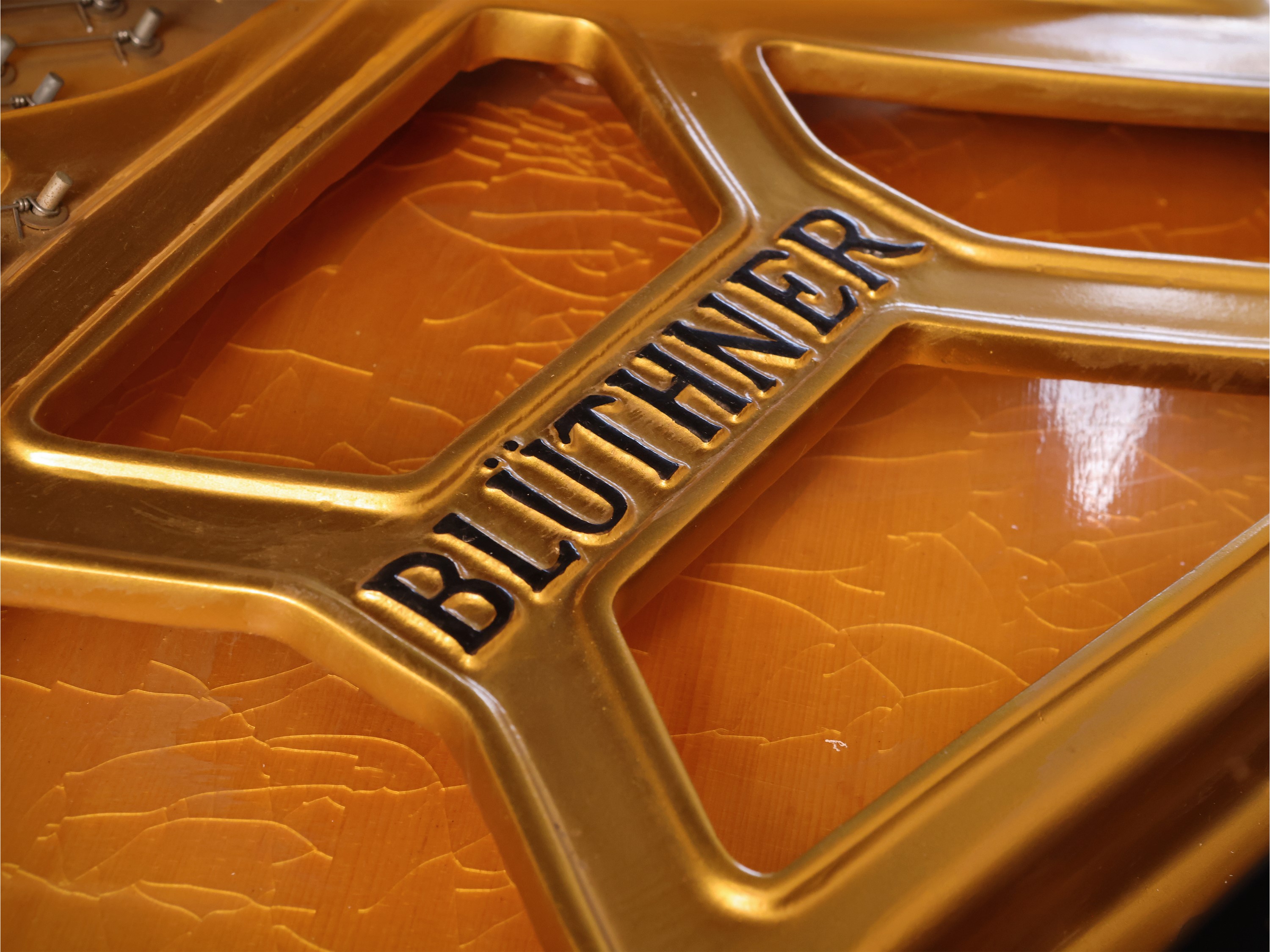 Blüthner, Pianoforte a mezza coda