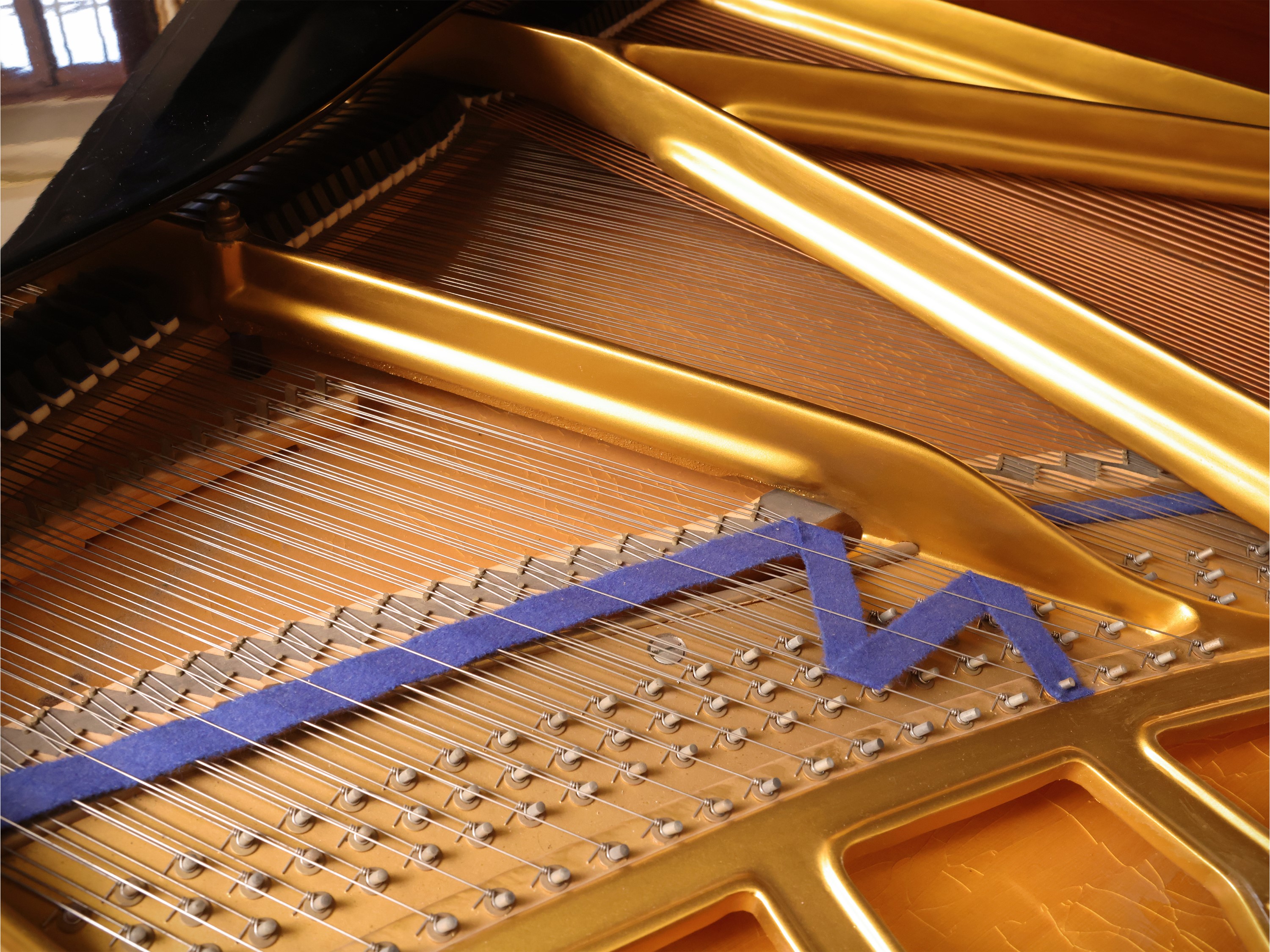 Blüthner, Pianoforte a mezza coda