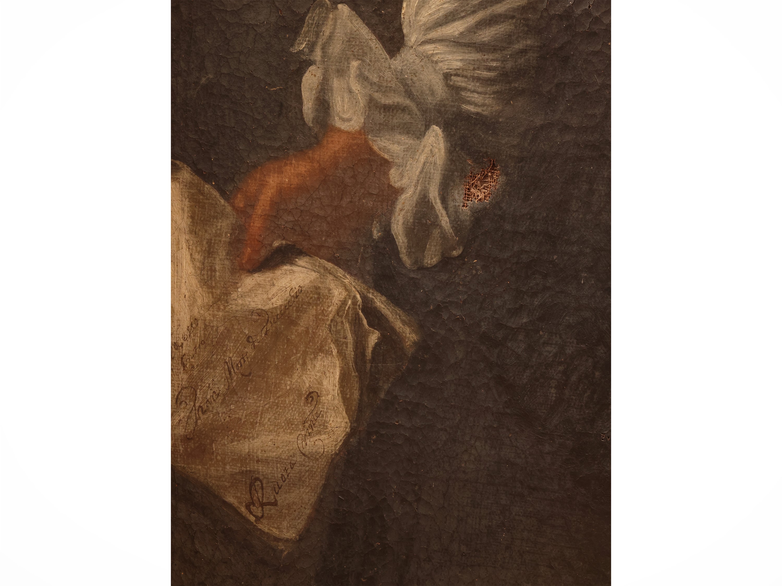 Scuola Fiorentina del XVII Secolo - Ritratto di giurista
