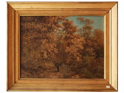 Bosco autunnale con viandante