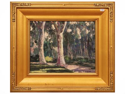 Paesaggio alberato