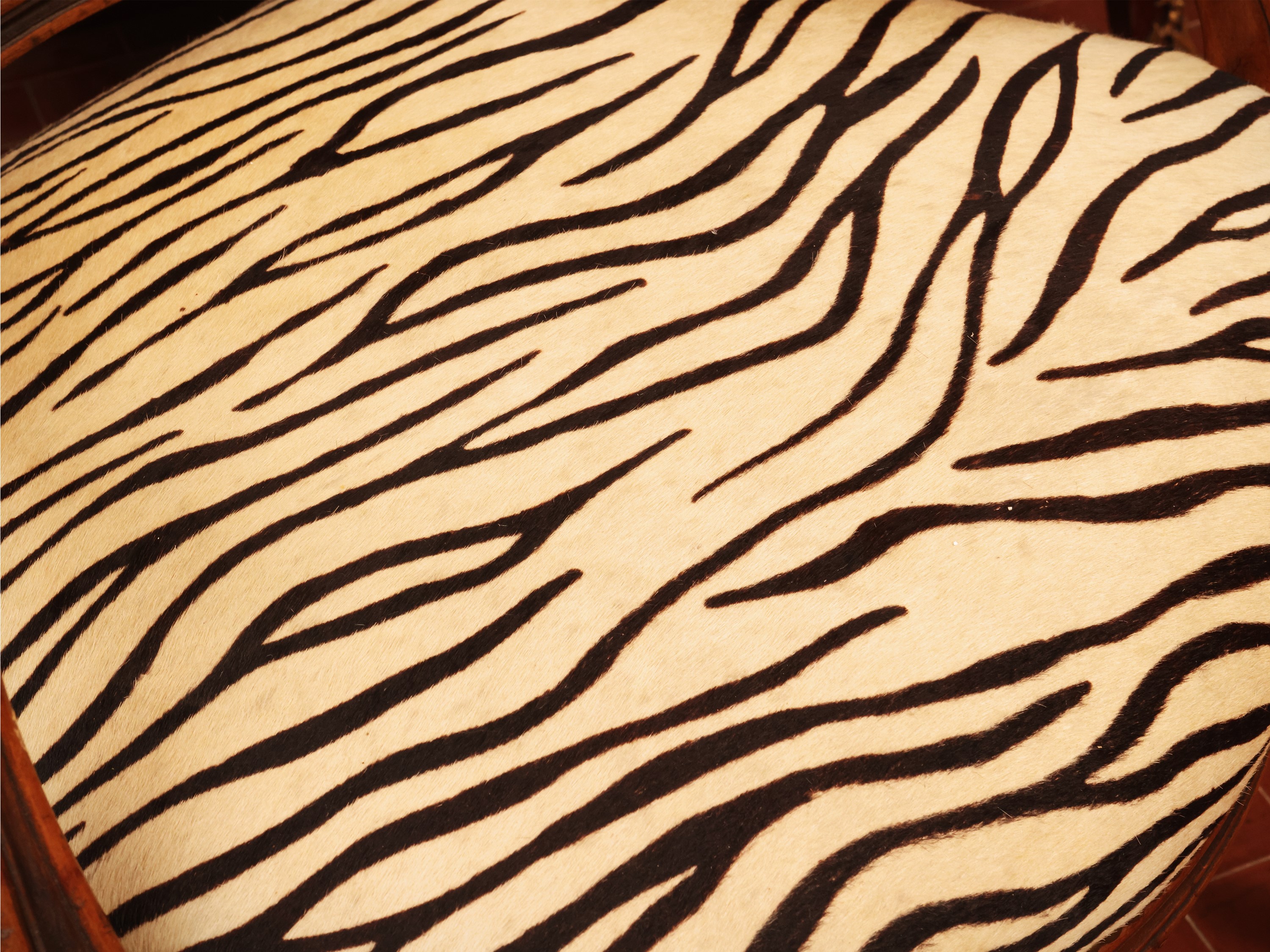 Poltrona, rivestimento in cavallino animalier con borchie
