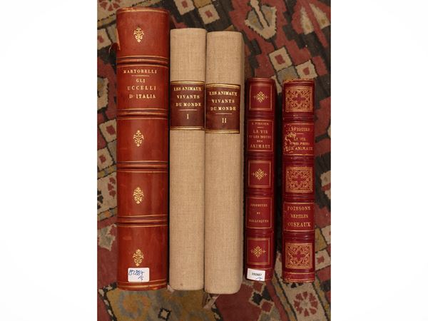 Picture books: Animals