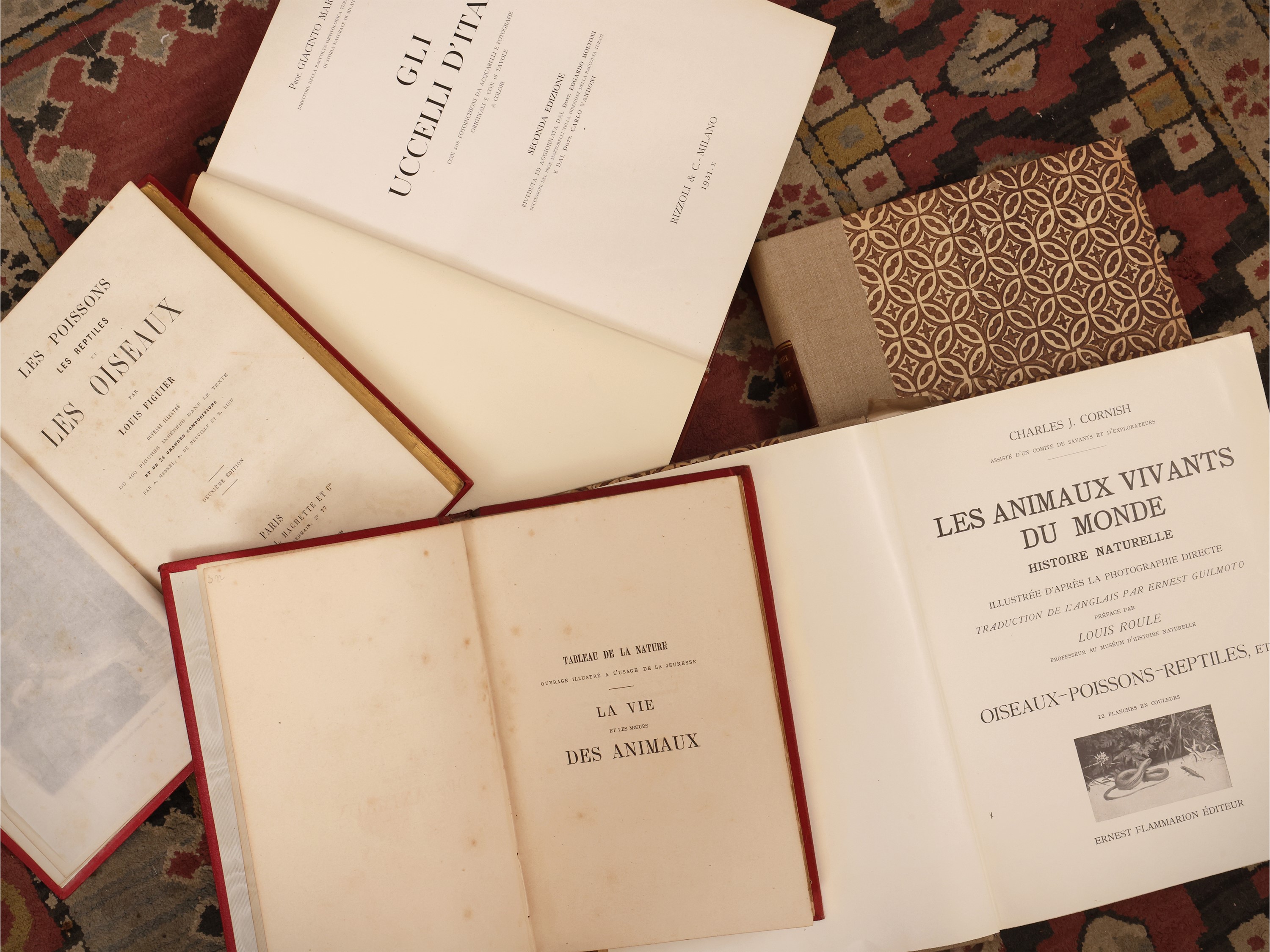 Libri illustrati su animali, tre raccolte in più volumi (XIX–XX secolo)