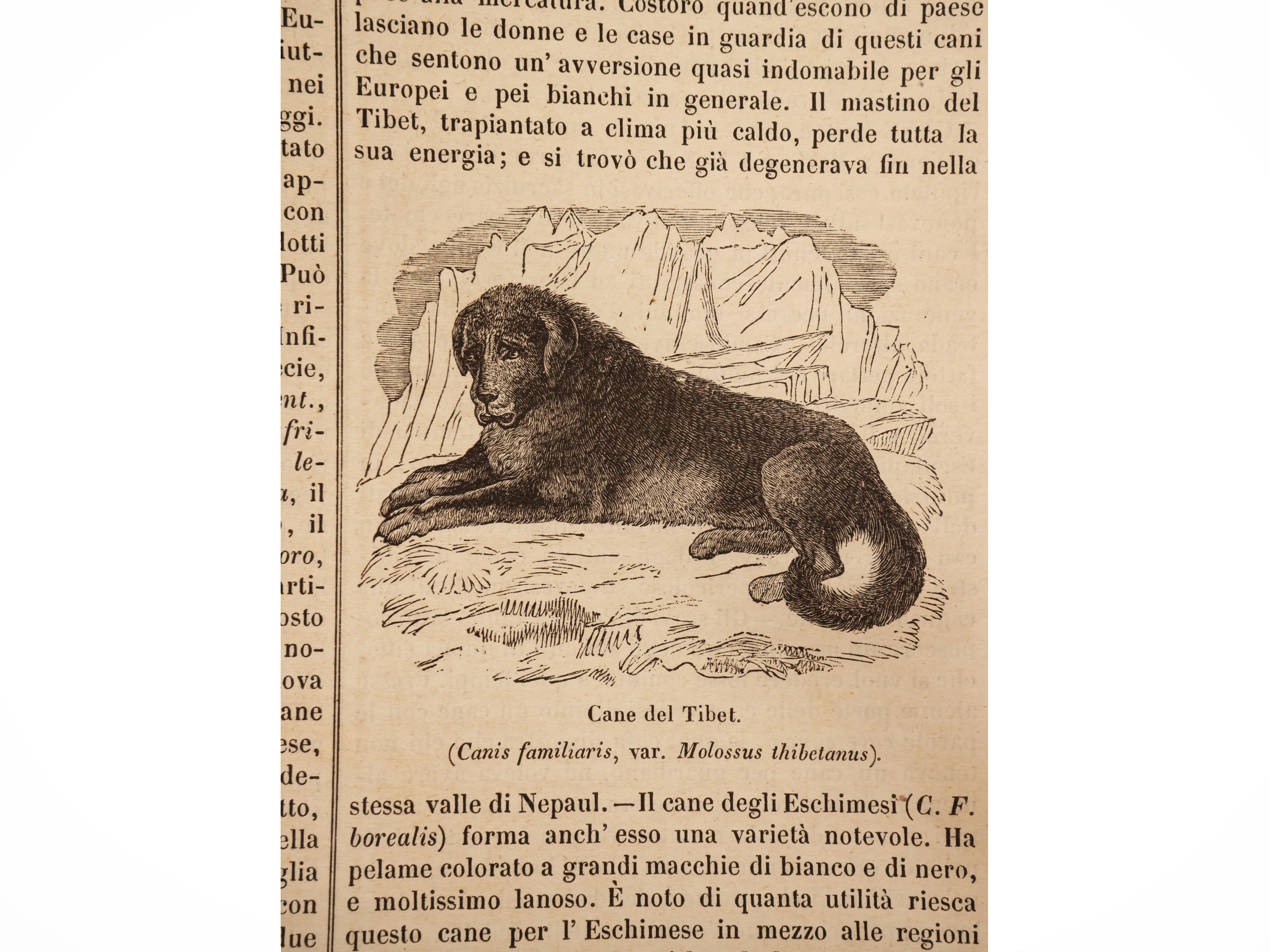 Nuova Enciclopedia Popolare, 16 volumi