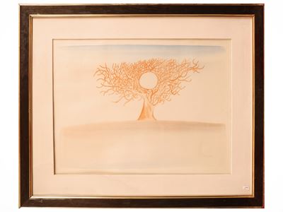 Albero
