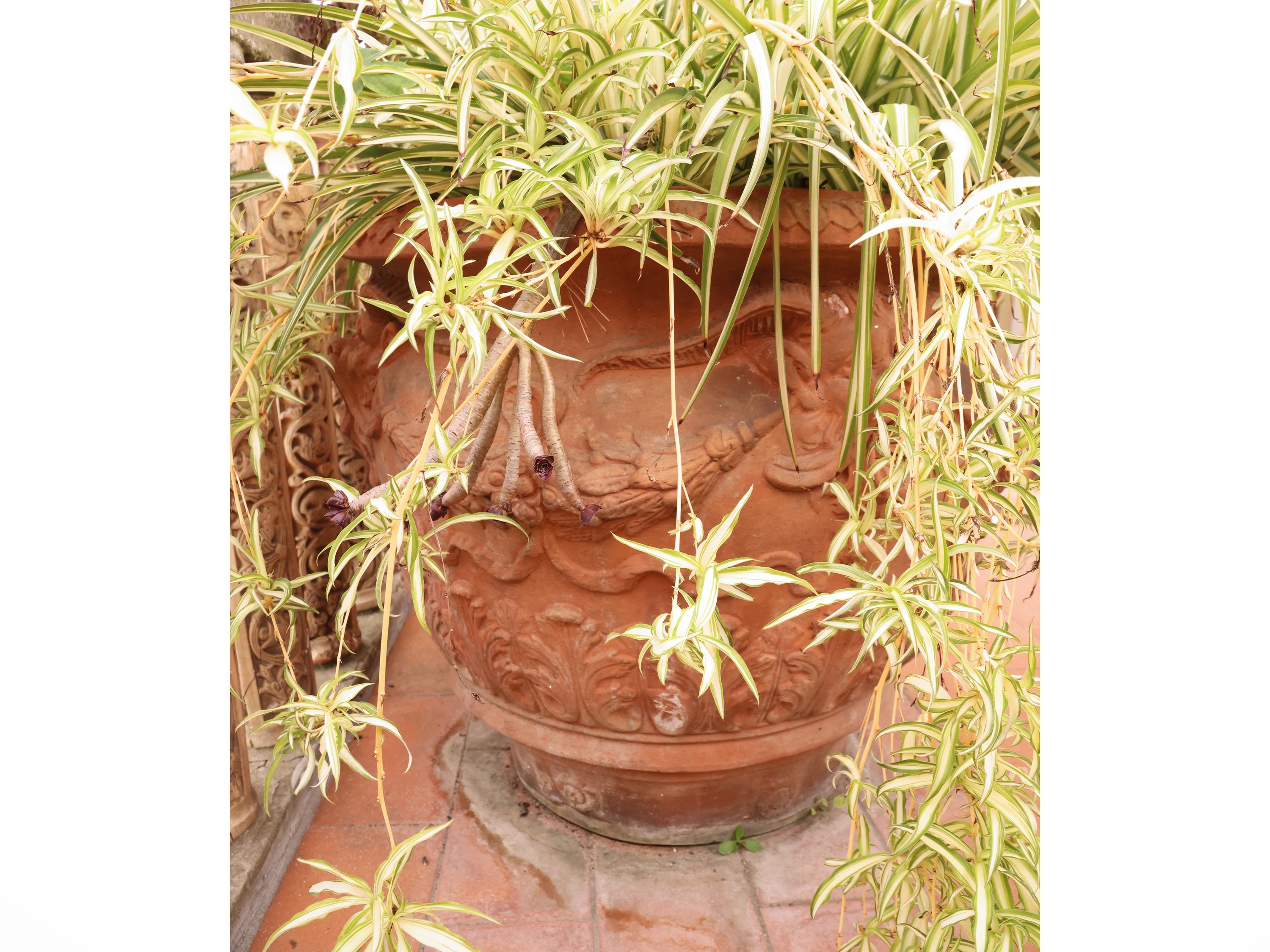 Vaso a conca in terracotta istoriata a mascheroni