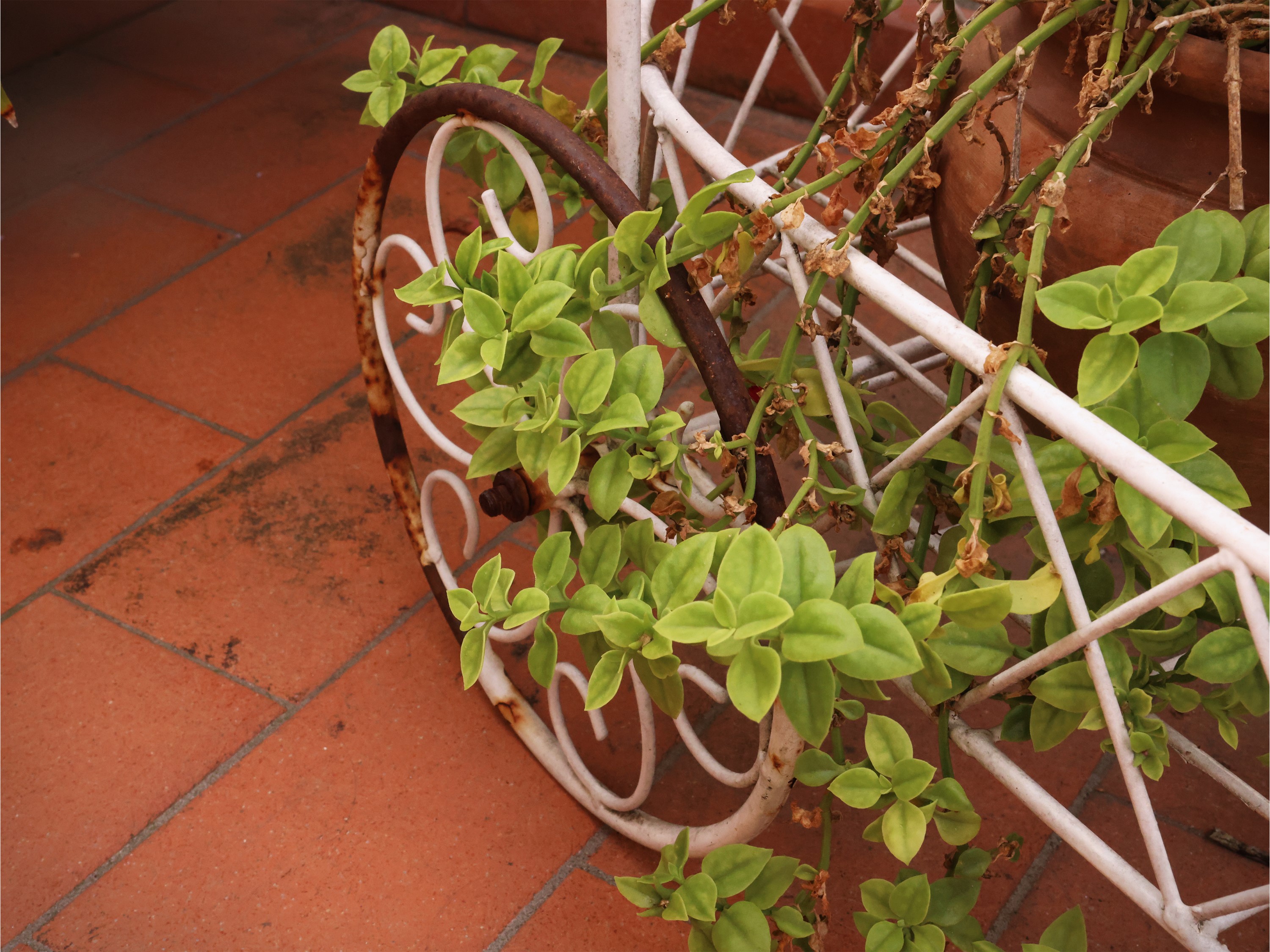 Carrellino portapiante in ferro battuto bianco, h 92 cm