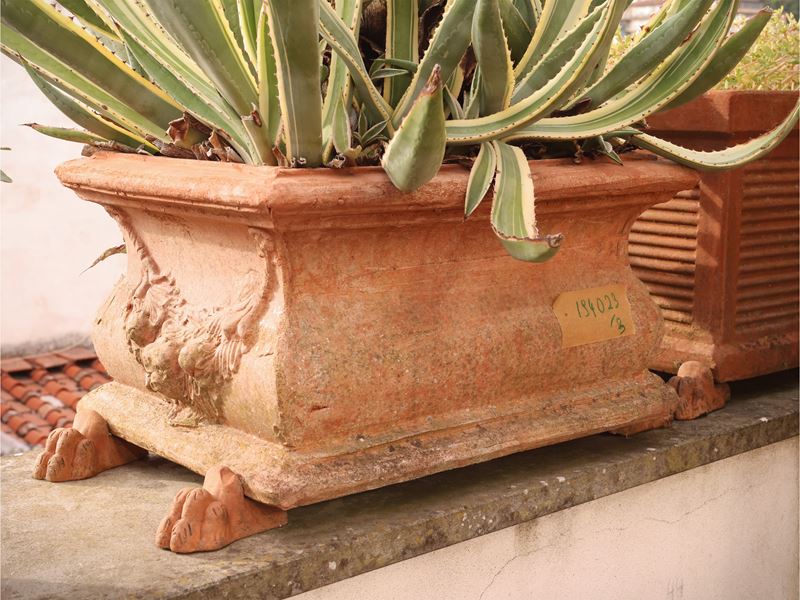 Set di tre vasi a cassetta in terracotta con vegetazione decorativa