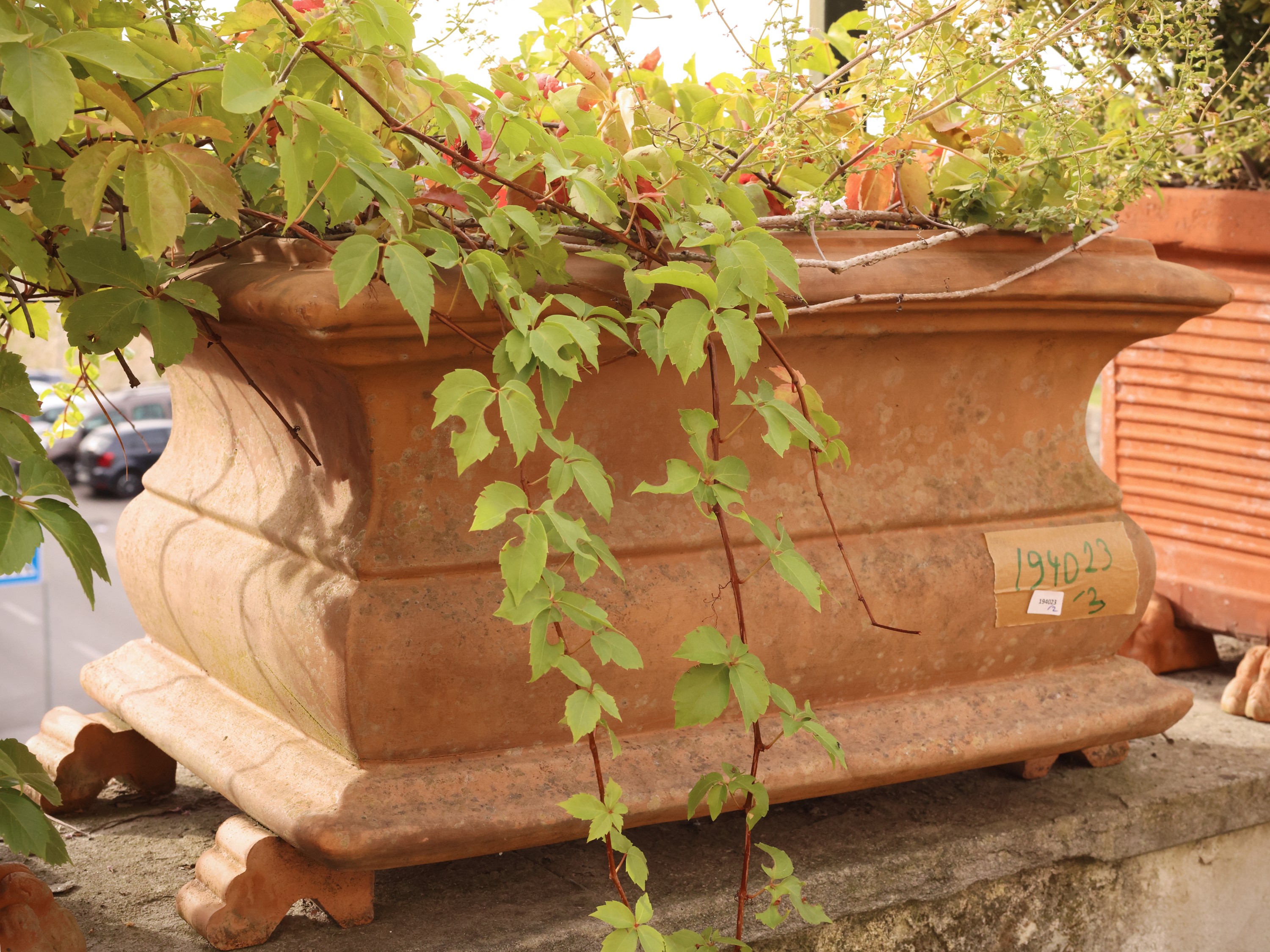 Set di tre vasi a cassetta in terracotta con vegetazione decorativa