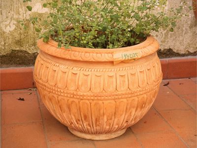 Assortimento di complementi da giardino o terrazzo, terracotta