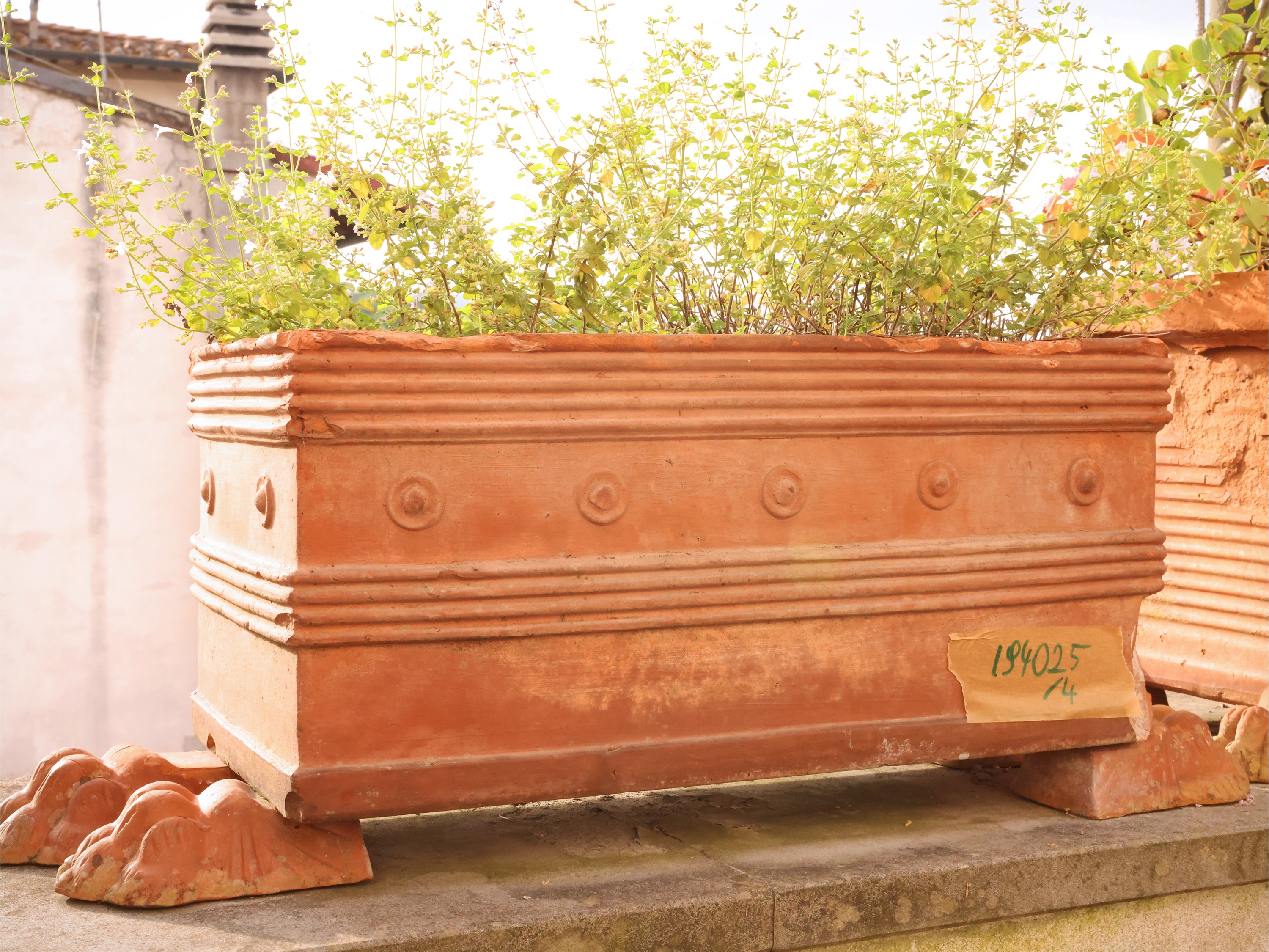 Assortimento di complementi da giardino o terrazzo, terracotta