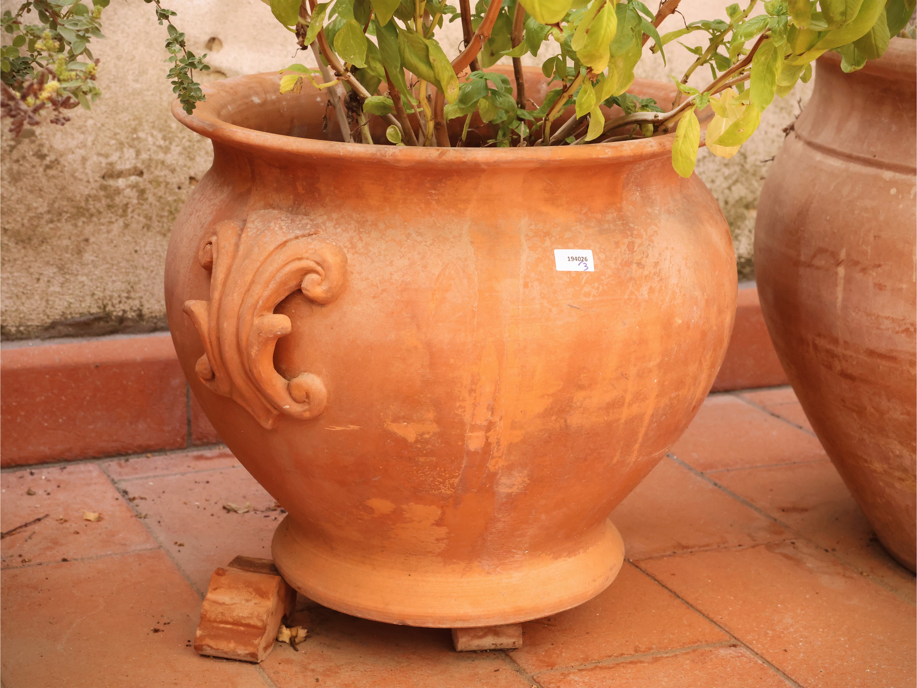 Tre vasi in terracotta