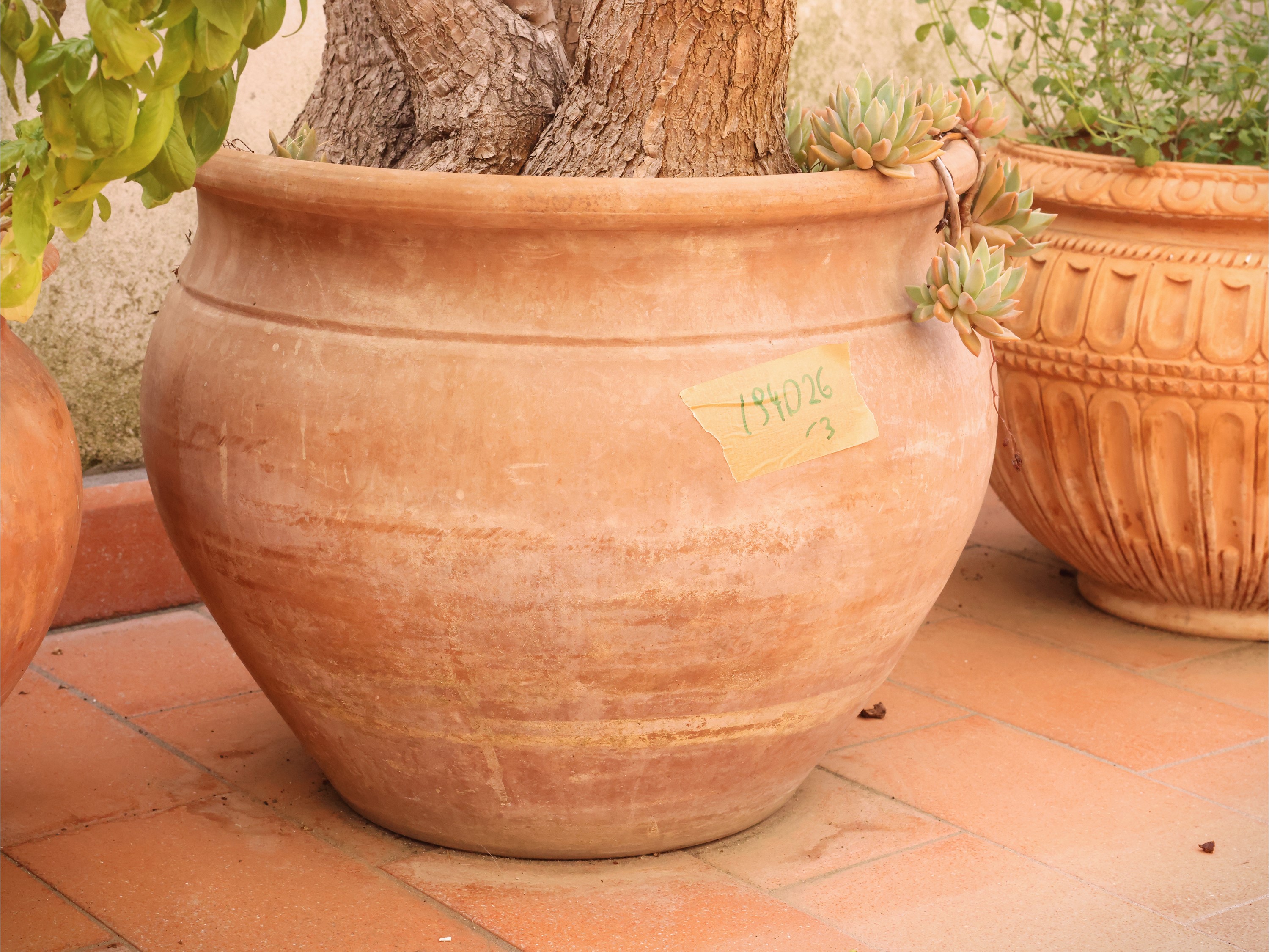 Tre vasi in terracotta