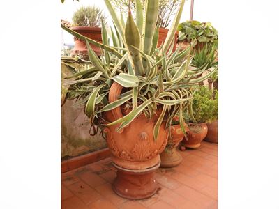 Vaso a conca in terracotta istoriata, grande vaso da interno