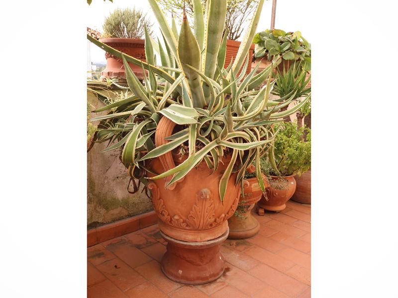 Vaso a conca in terracotta istoriata, grande vaso da interno