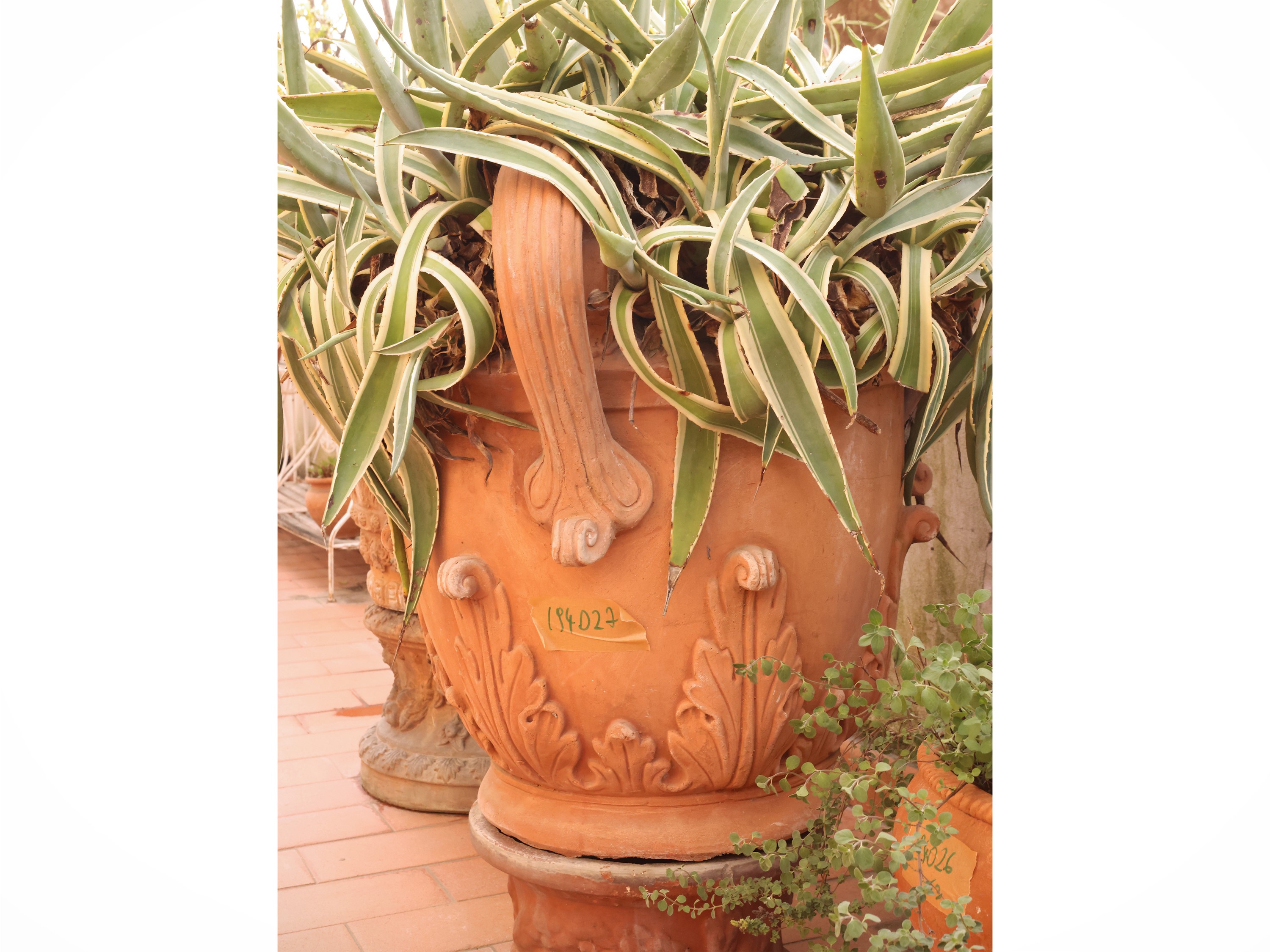 Vaso a conca in terracotta istoriata, grande vaso da interno