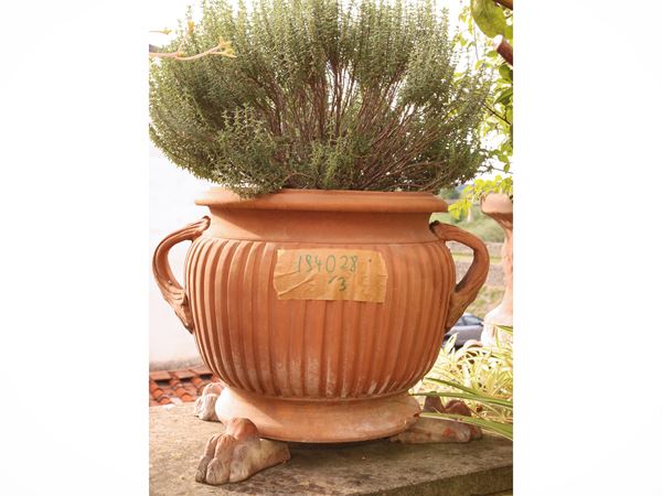 Three terracotta vases