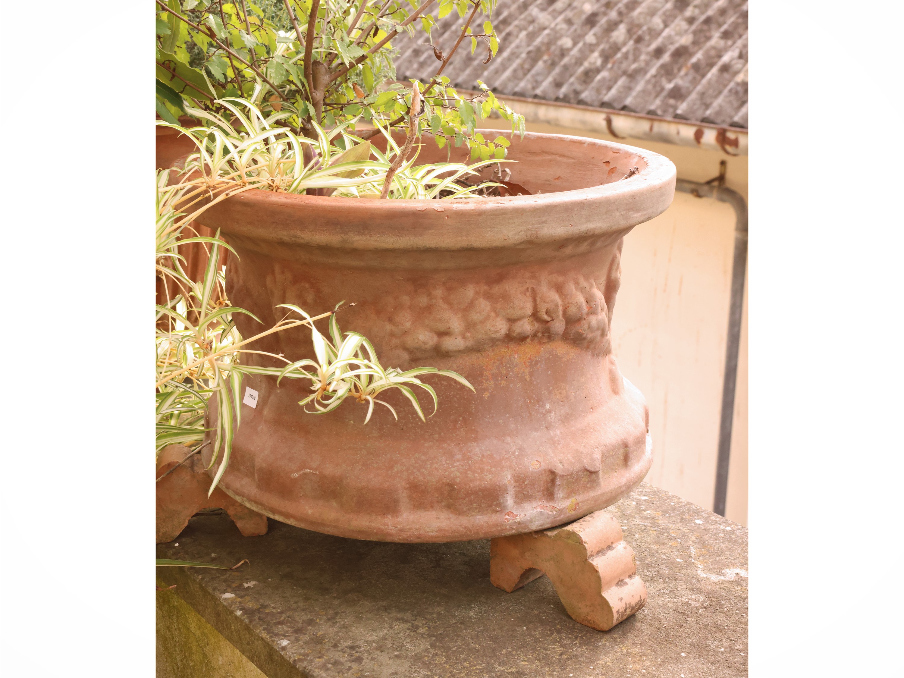 Tre vasi in terracotta, tre esemplari (dimensioni circa h cm 24×33)