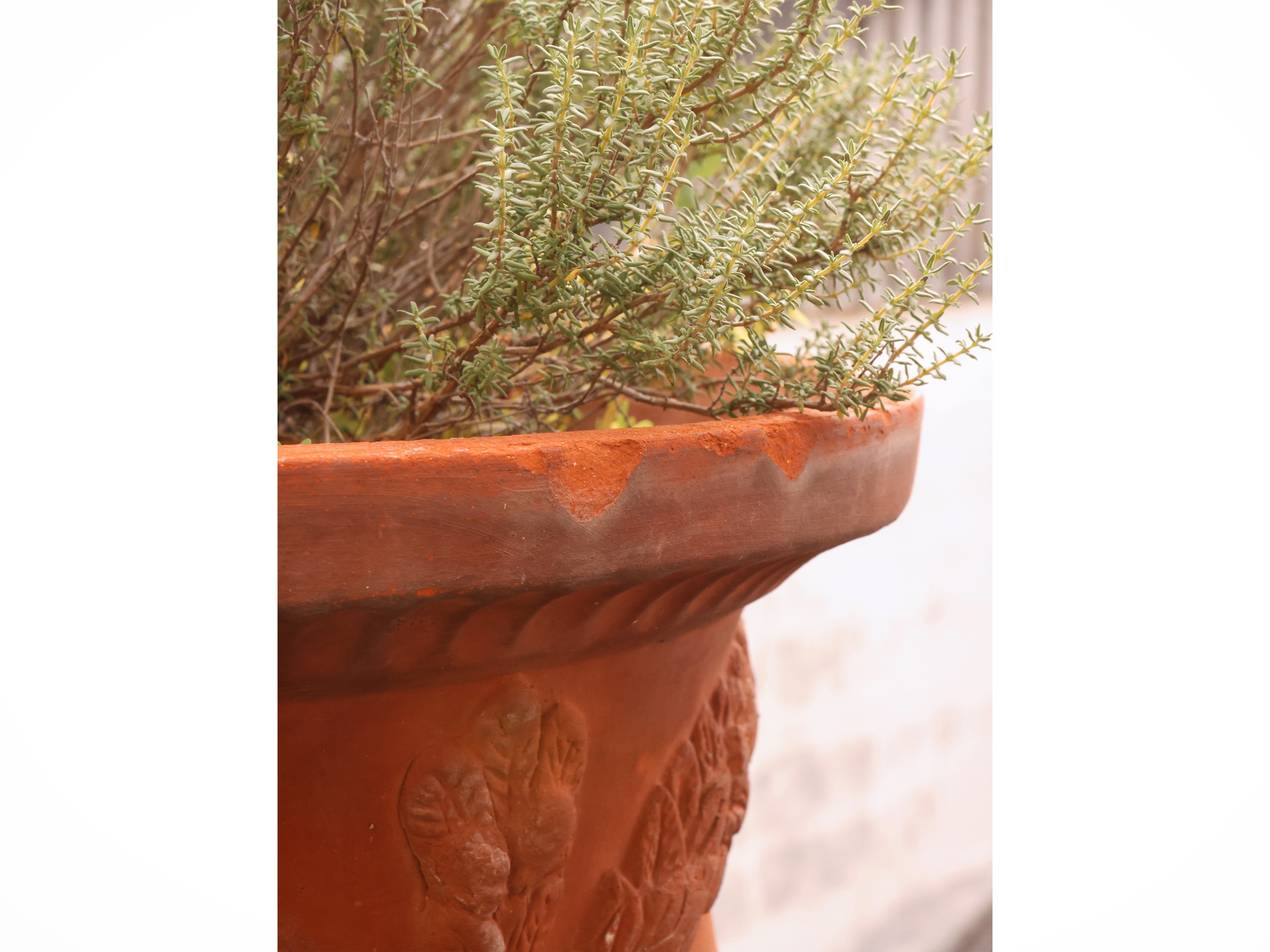 Tre vasi in terracotta, tre esemplari (dimensioni circa h cm 24×33)