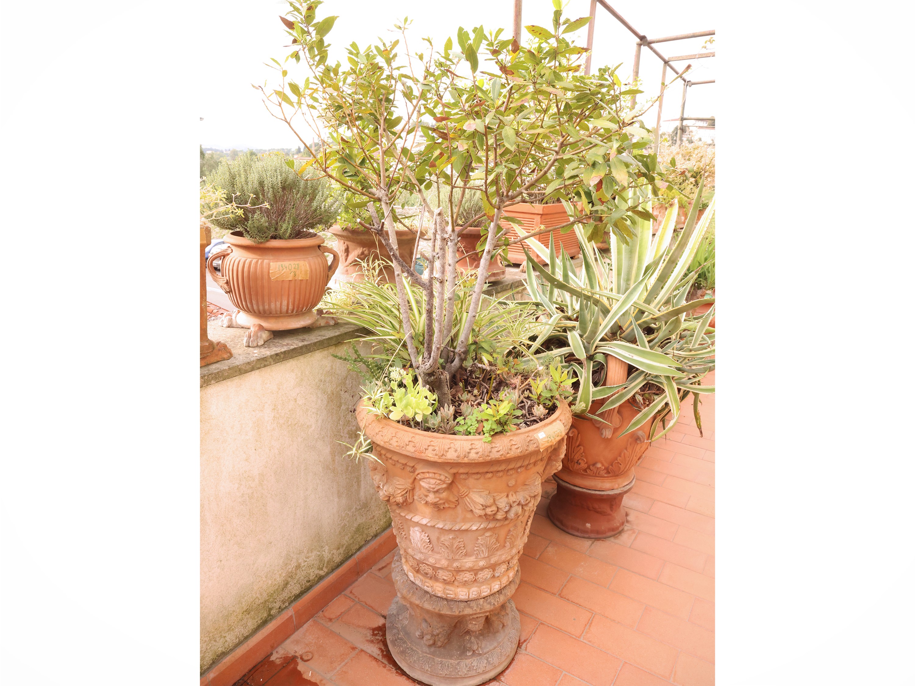 Vaso a conca in terracotta istoriata, con base a rocchetto