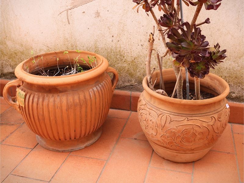 Tre vasi in terracotta
