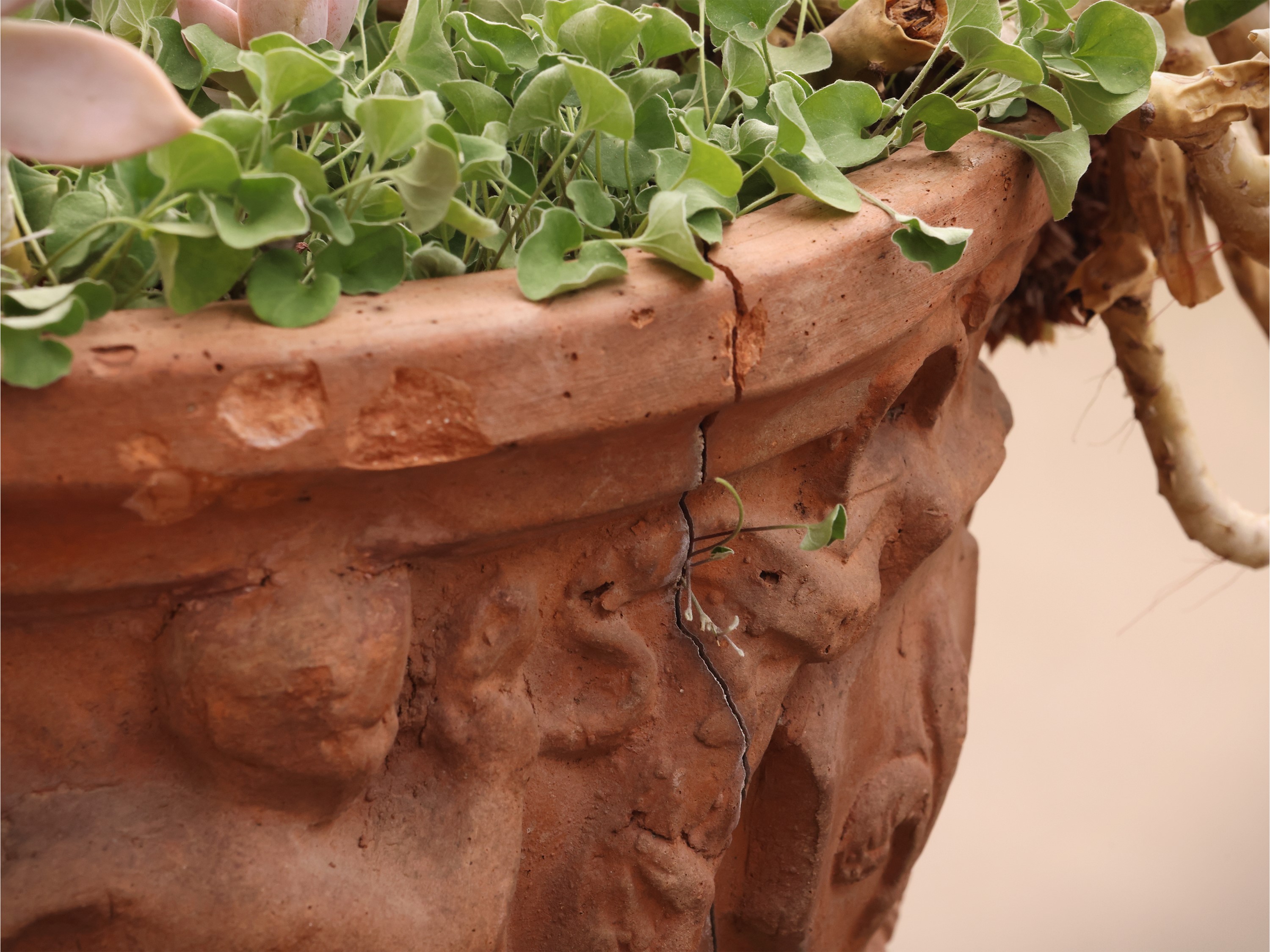 Set di tre vasi in terracotta