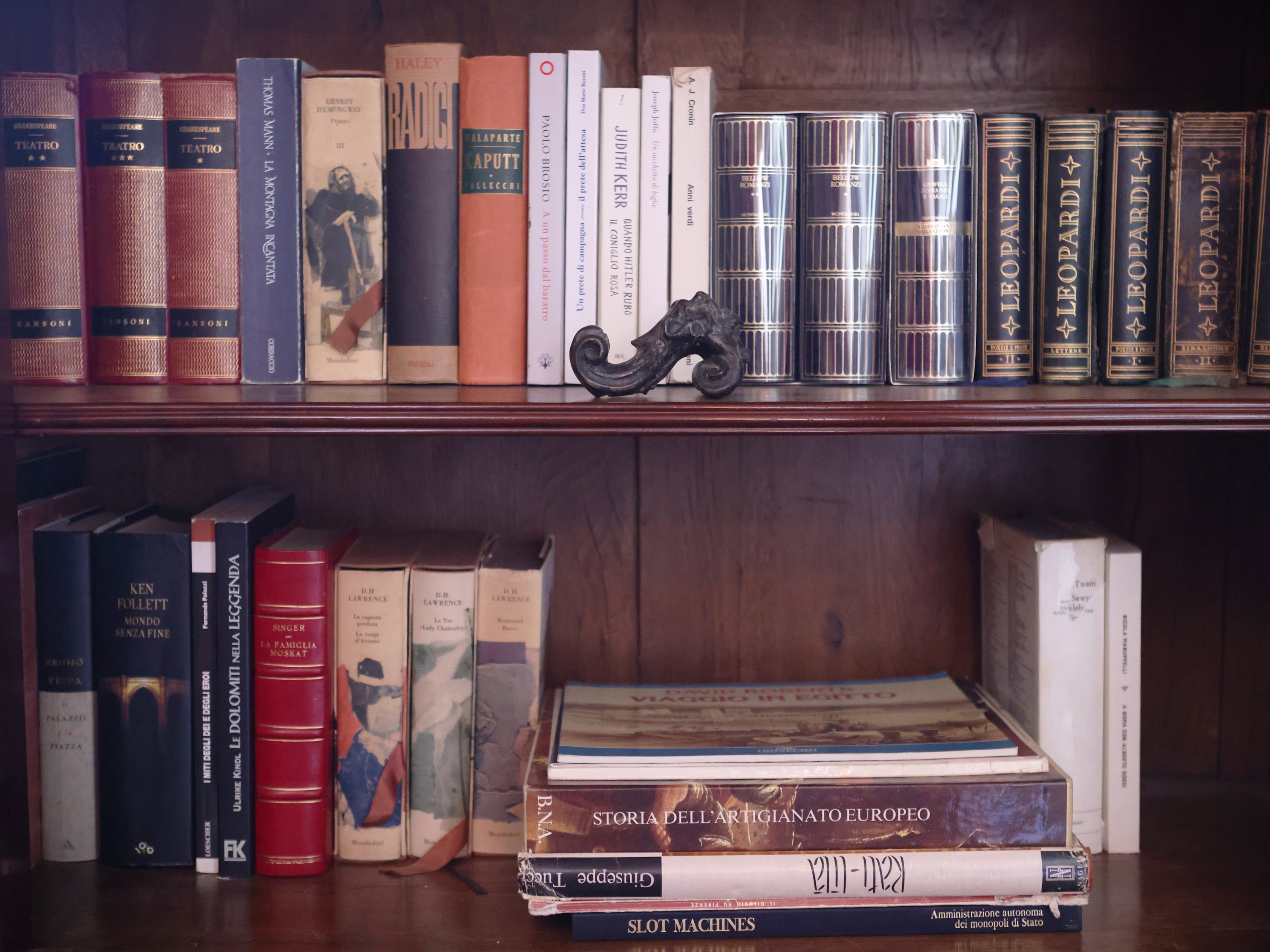 Raccolta di libri di narrativa, grande assortimento