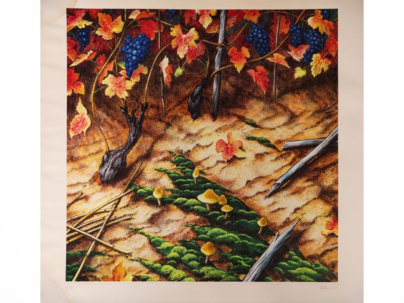 Piero Gilardi - Autunnale (litografia)