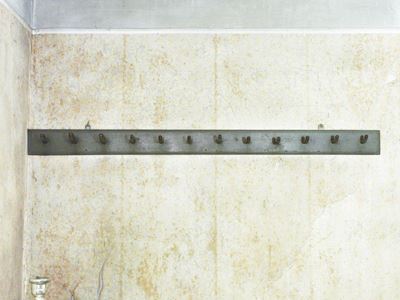 Attacapanni Pensile in Legno Laccato Grigio