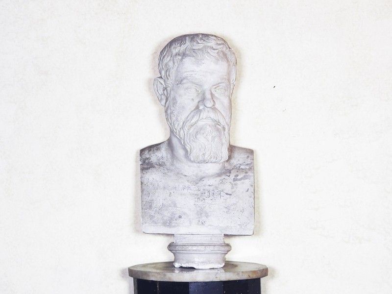 Busto Maschile in Gesso