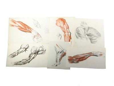 Miscellanea di Disegni