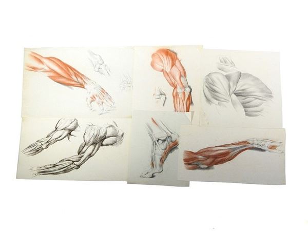 Collection of Drawings, 19th Century