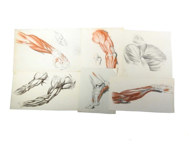 Miscellanea di Disegni