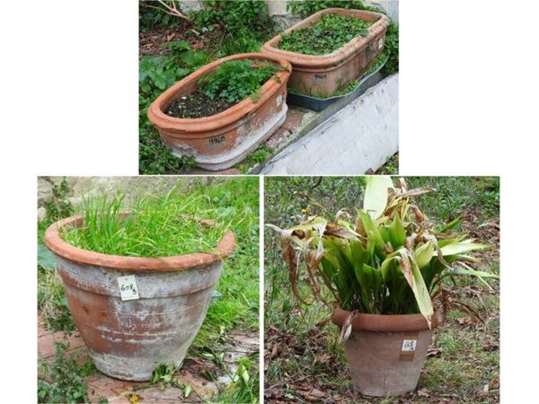 Terracotta Planter Vases