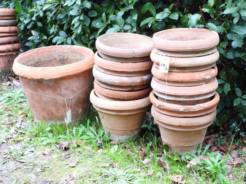 Lotto di Vasi in Terracotta